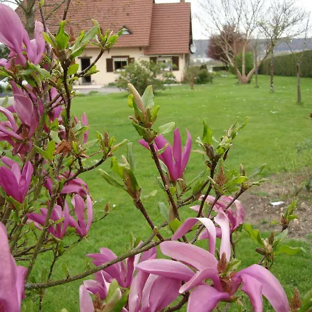 Bed & Breakfast Entre Seine Et Jardin